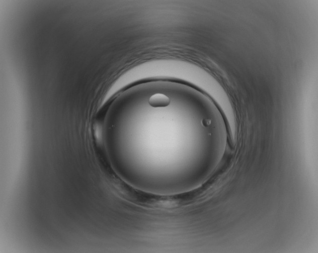 X0000111120217200906301317