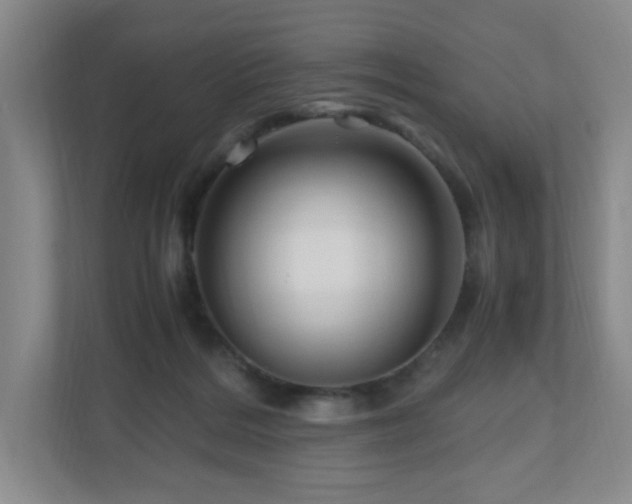 X0000111120220200906301317