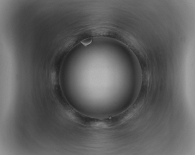 X0000111120224200906301317