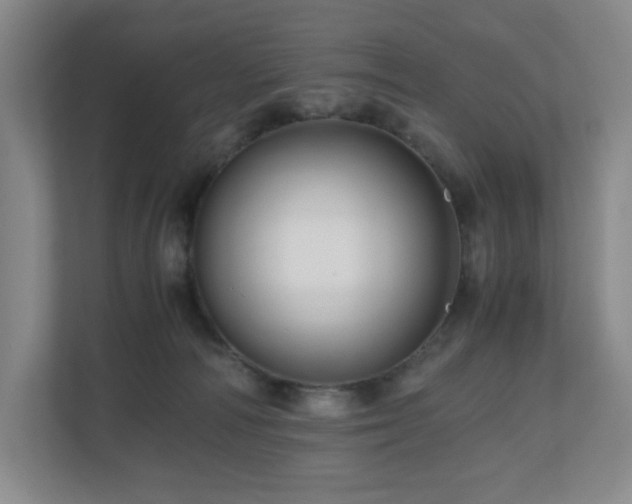 X0000111120226200906301317