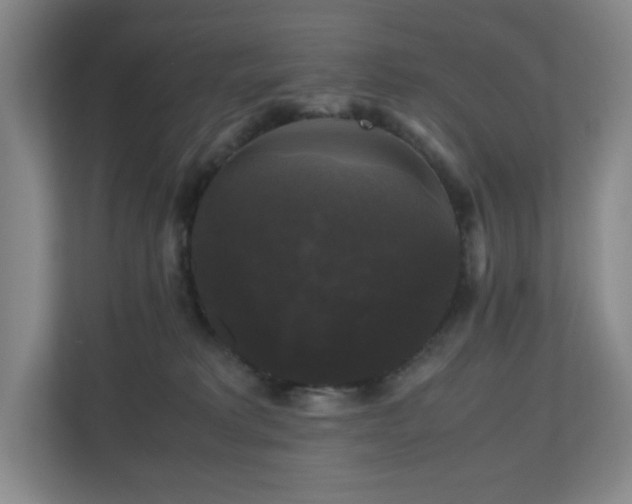 X0000111120229200906301317