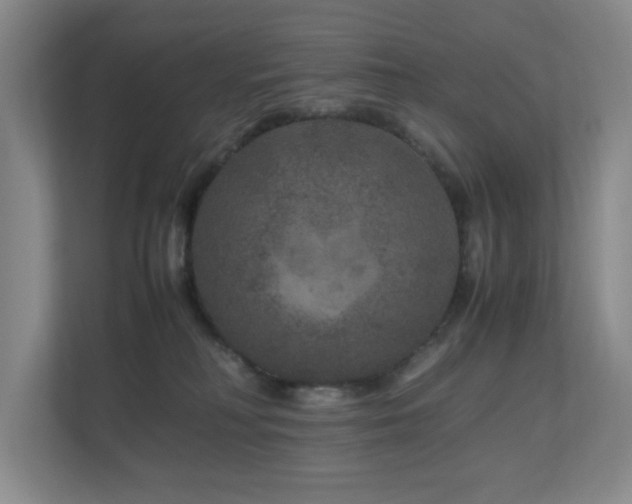 X0000111120230200906301317