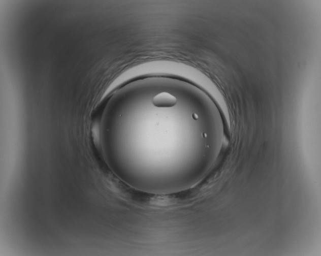 X0000111120231200906301317