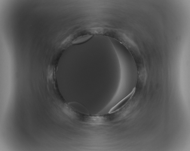 X0000111120233200906301317