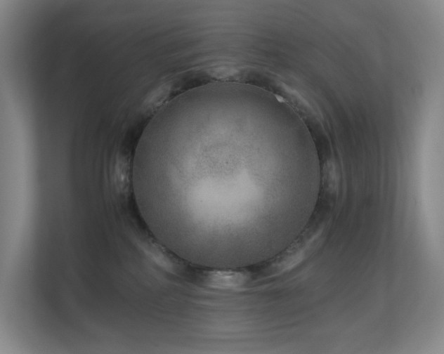 X0000111120234200906301317