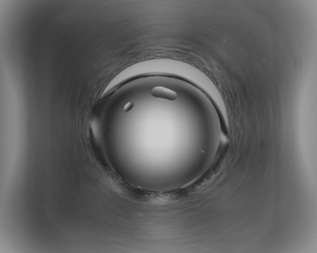 X0000111120235200906301317