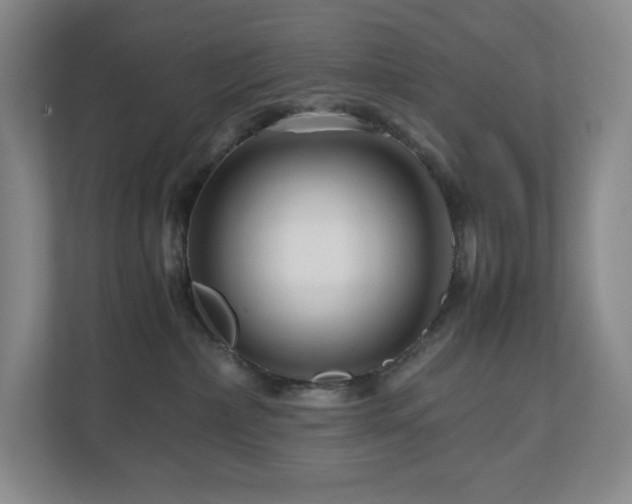 X0000111120236200906301317