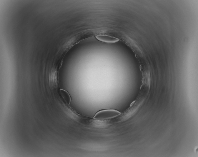 X0000111120238200906301317