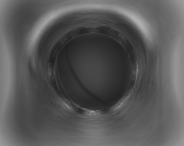 X0000111120239200906301317