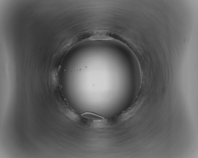 X0000111120240200906301317