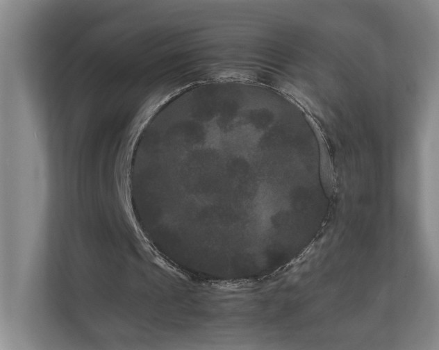 X0000111120241200906301316