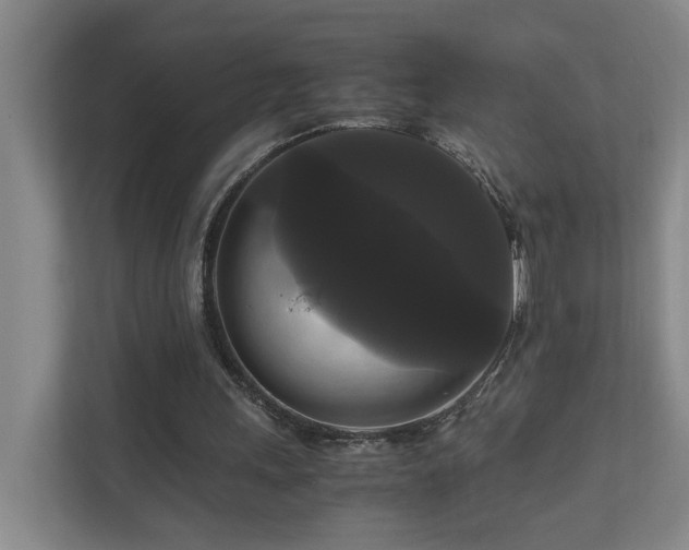 X0000111120243200906301316