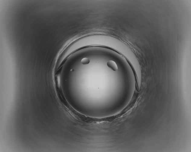 X0000111120244200906301316