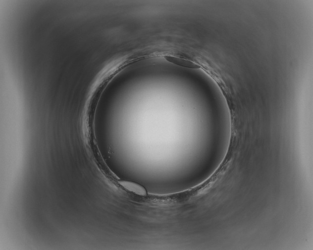 X0000111120245200906301316