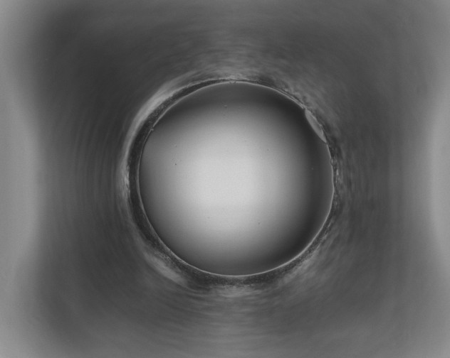 X0000111120246200906301316