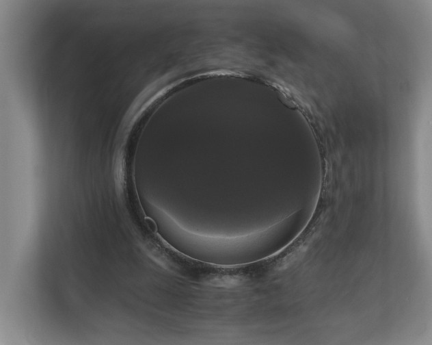 X0000111120247200906301316