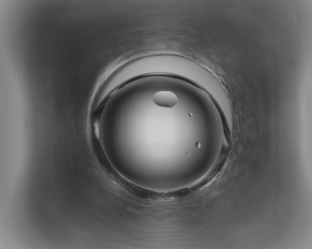 X0000111120248200906301316