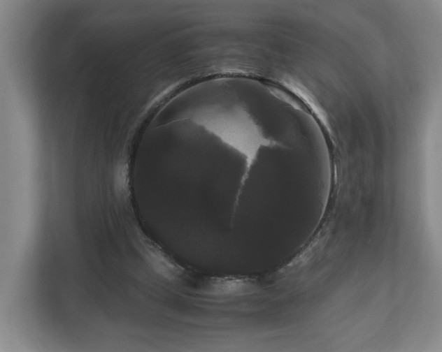 X0000111120249200906301316