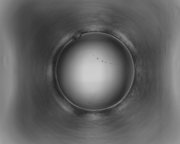 X0000111120250200906301316