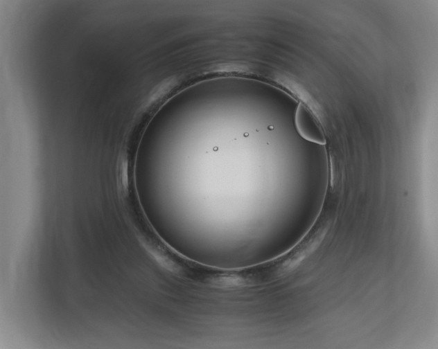 X0000111120253200906301316