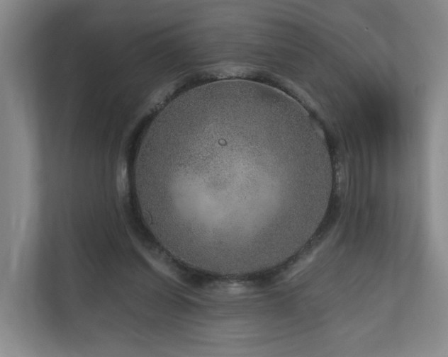 X0000111120254200906301316