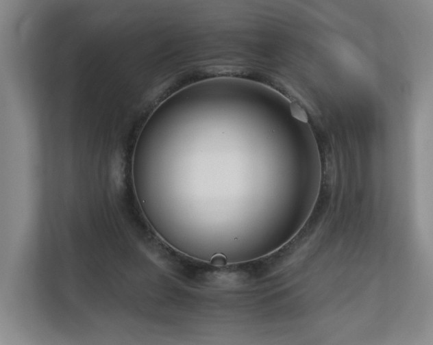 X0000111120255200906301316