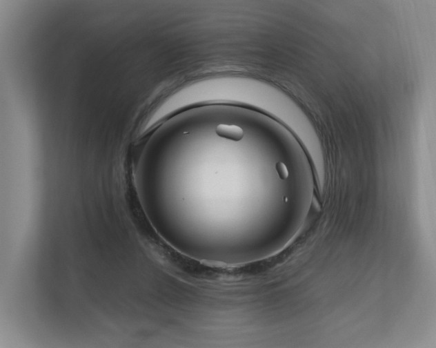 X0000111120256200906301316