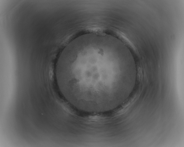 X0000111120259200906301316