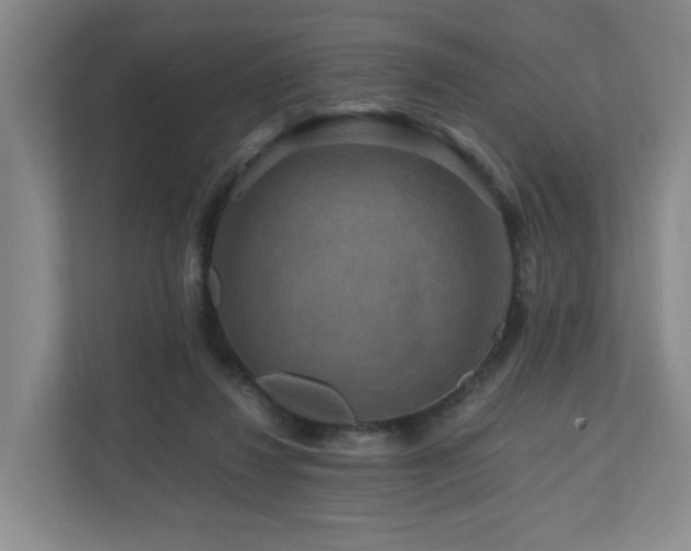 X0000111120260200906301316