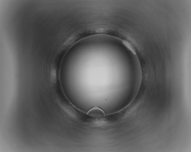 X0000111120262200906301316