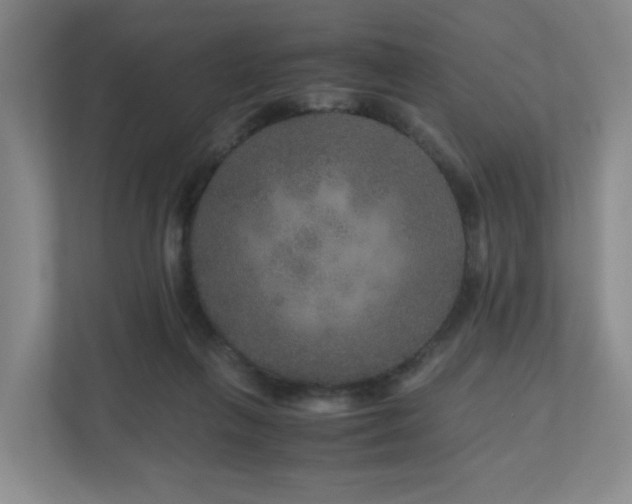 X0000111120263200906301316