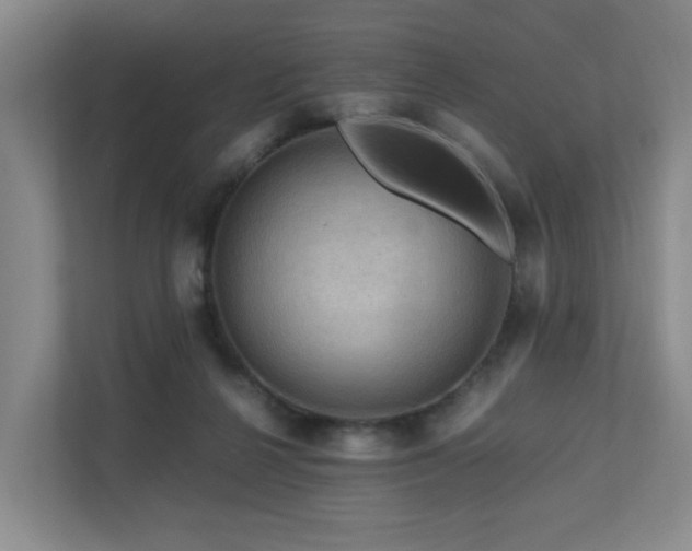 X0000111120264200906301316