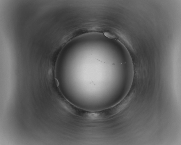 X0000111120265200906301316