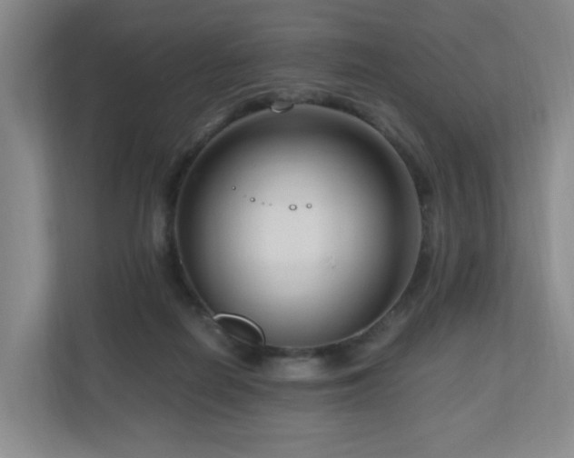 X0000111120266200906301316