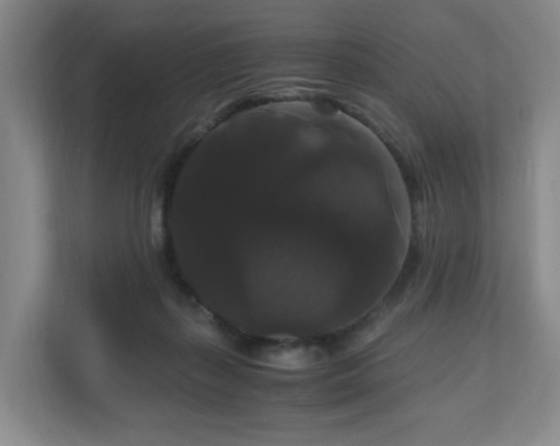 X0000111120267200906301316