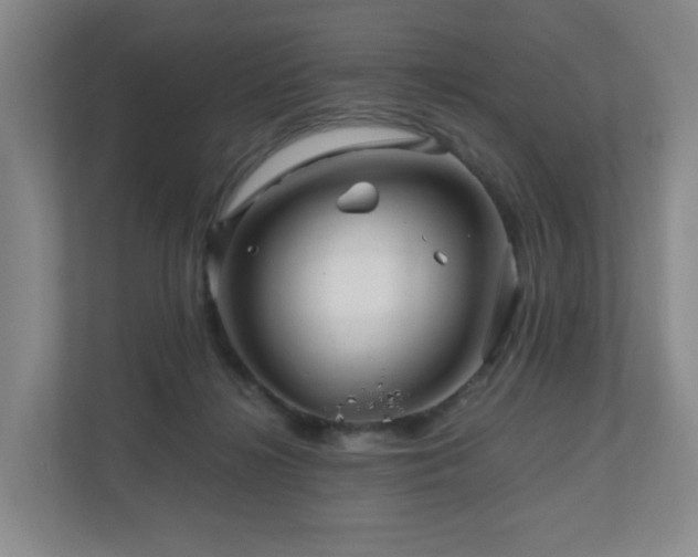 X0000111120268200906301316