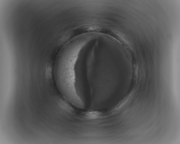 X0000111120269200906301316