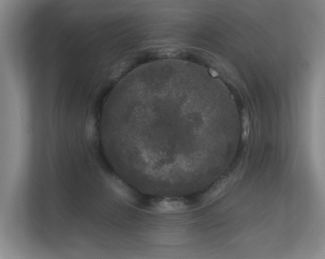 X0000111120270200906301317