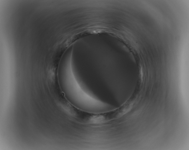 X0000111120271200906301317