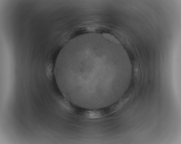 X0000111120275200906301317