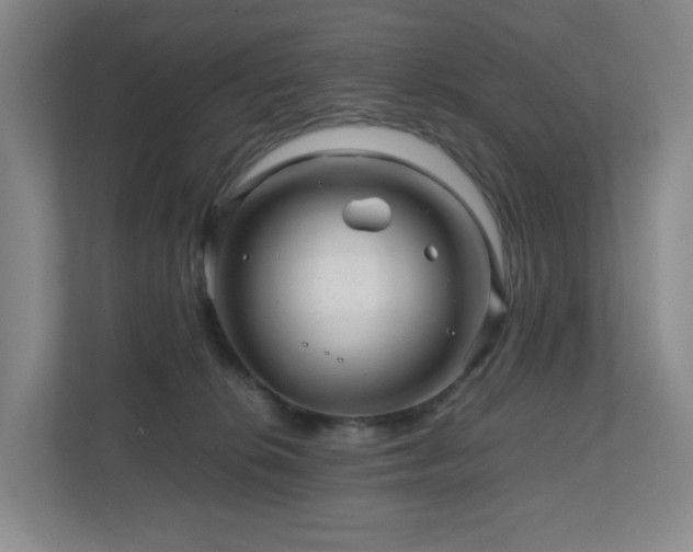 X0000111120276200906301317