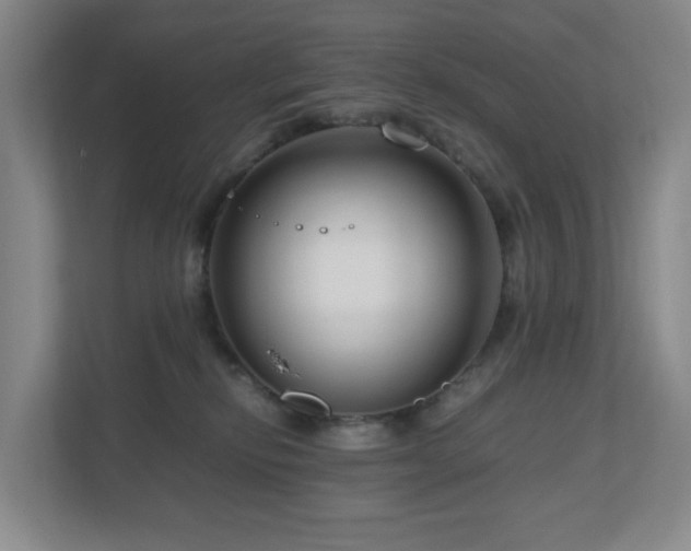 X0000111120278200906301317