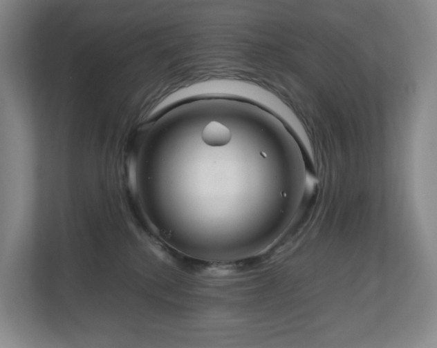 X0000111120280200906301317