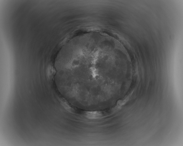 X0000111120281200906301317