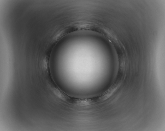 X0000111120282200906301317