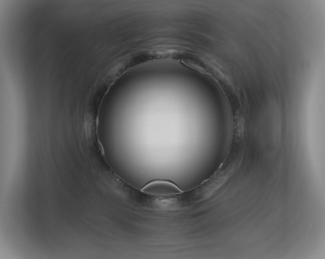 X0000111120283200906301317