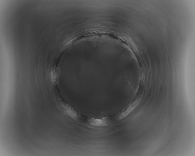 X0000111120285200906301317