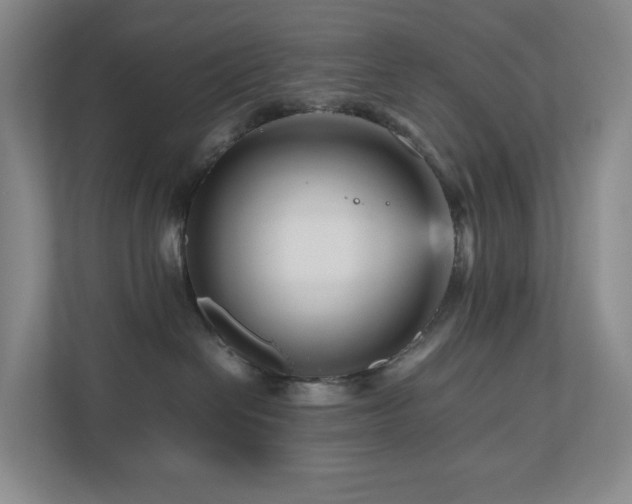 X0000111120286200906301317