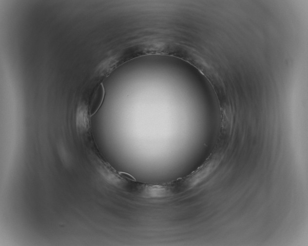 X0000111120287200906301317