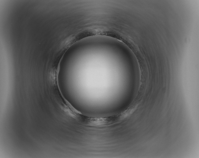 X0000111120288200906301317